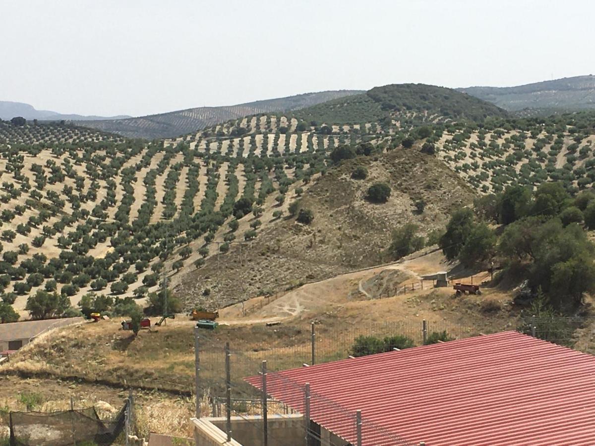Apartamento Turistico Mirador De Sierra Magina Noalejo Entre Granada Y Jaen エクステリア 写真